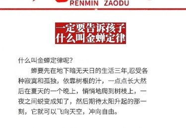 开云体育app：开云体育AG真人游戏新手必备攻略，如何快速上手